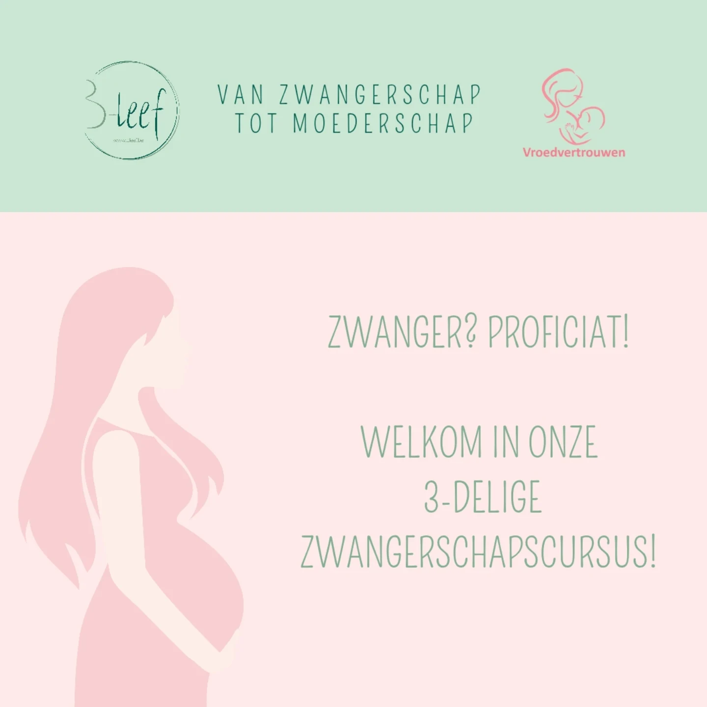 Van Zwangerschap Tot Moederschap